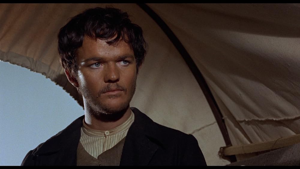 殺して祈れの画像