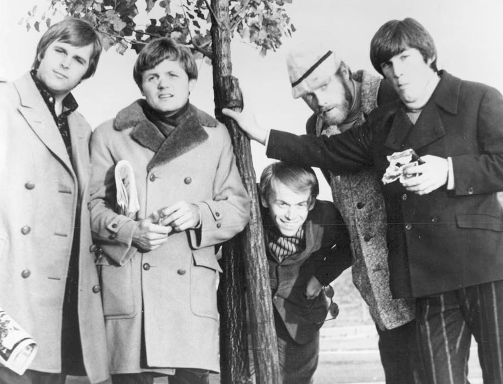 ザ・ビーチ・ボーイズ／アン・アメリカン・バンドの画像