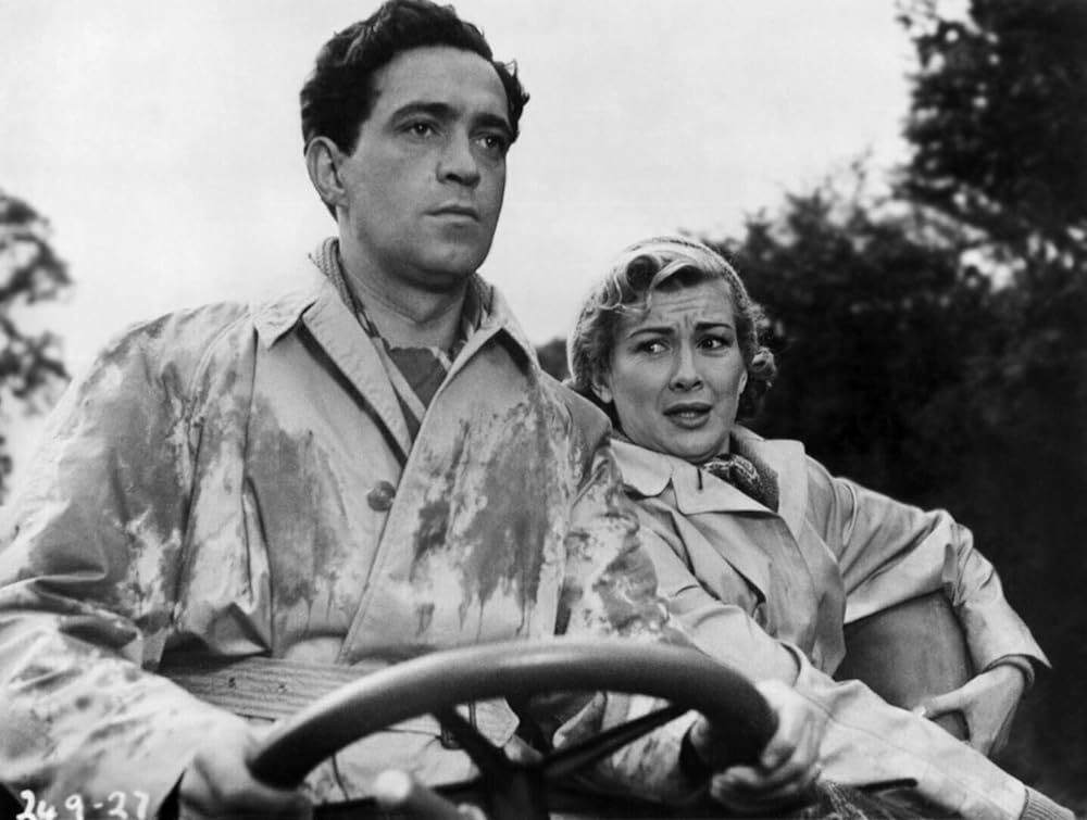 おかしなおかしな自動車競争の画像