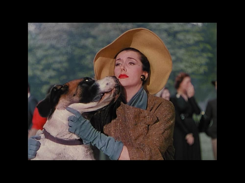 おかしなおかしな自動車競争の画像