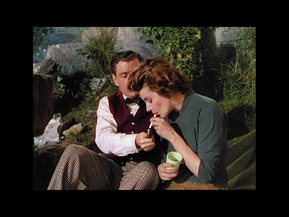 おかしなおかしな自動車競争の画像