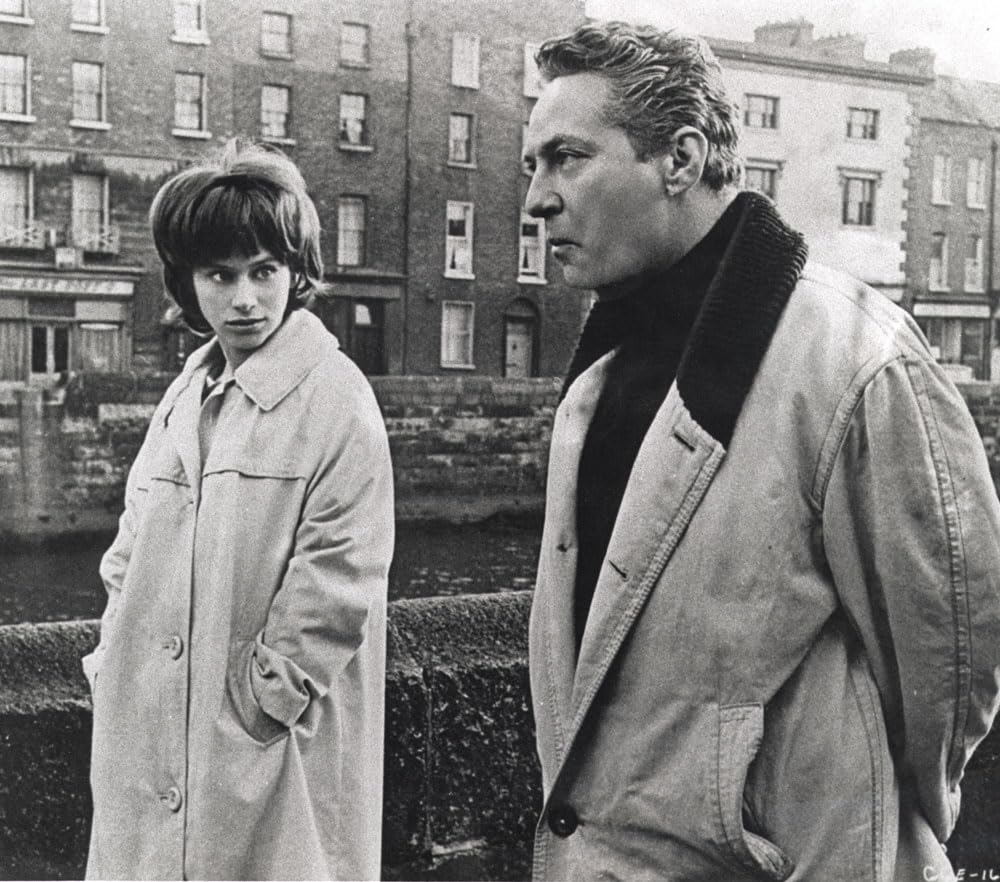 みどりの瞳の画像