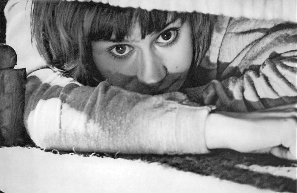 みどりの瞳の画像