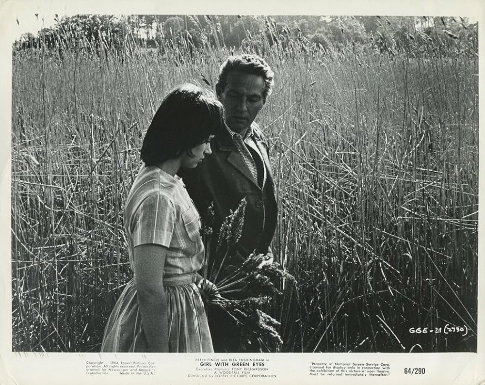 みどりの瞳の画像