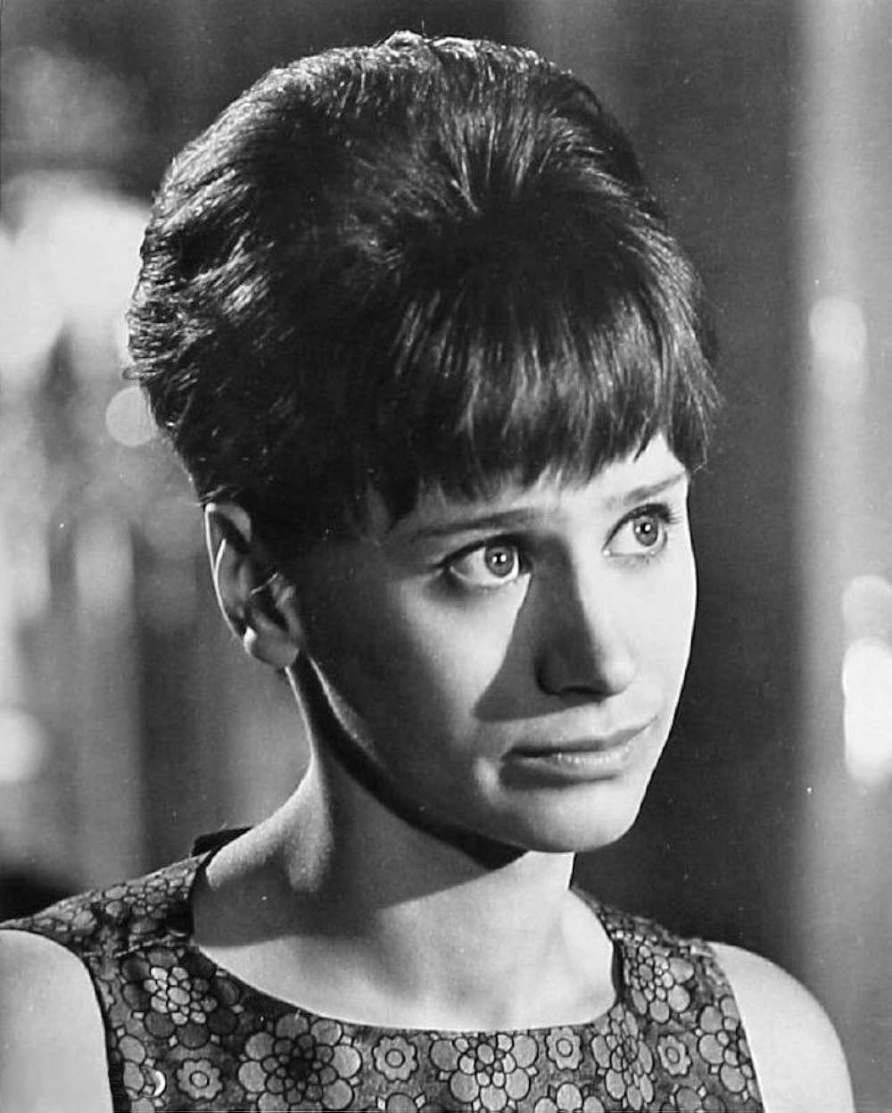 みどりの瞳の画像