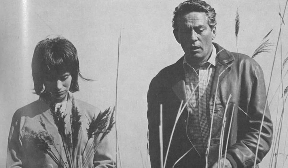 みどりの瞳の画像