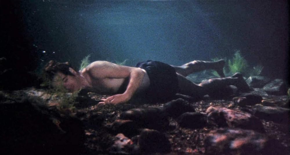 リーインカーネーションの画像