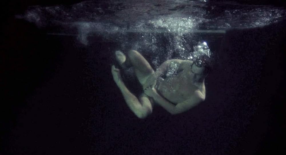 リーインカーネーションの画像