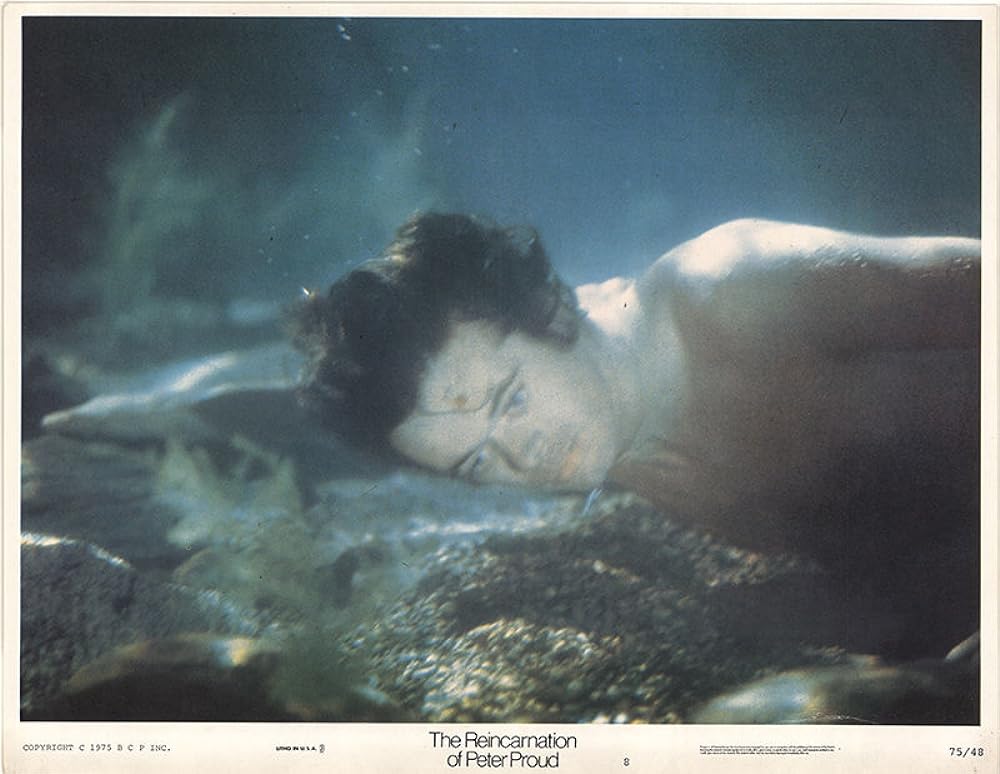 リーインカーネーションの画像