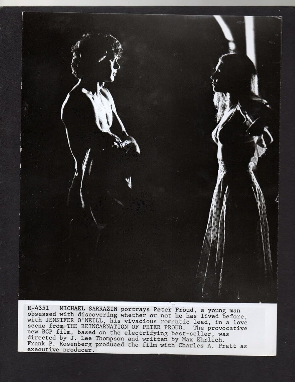 リーインカーネーションの画像