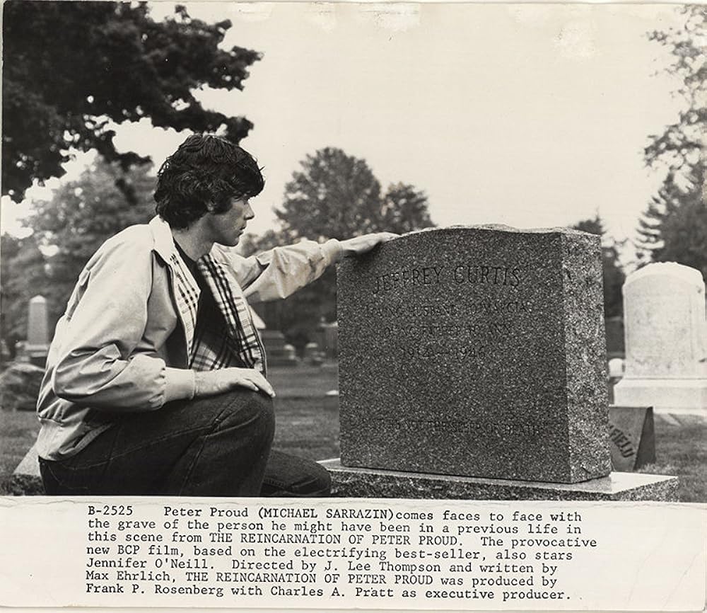 リーインカーネーションの画像