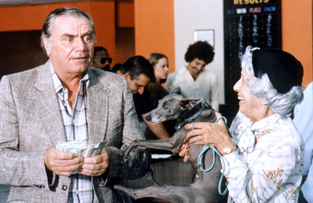 レッドオメガ追撃作戦の画像