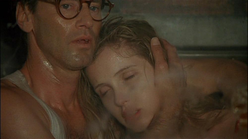 ボイジャーの画像