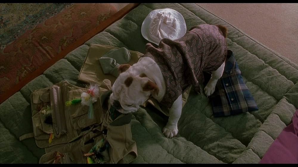 Mr.マグーの画像