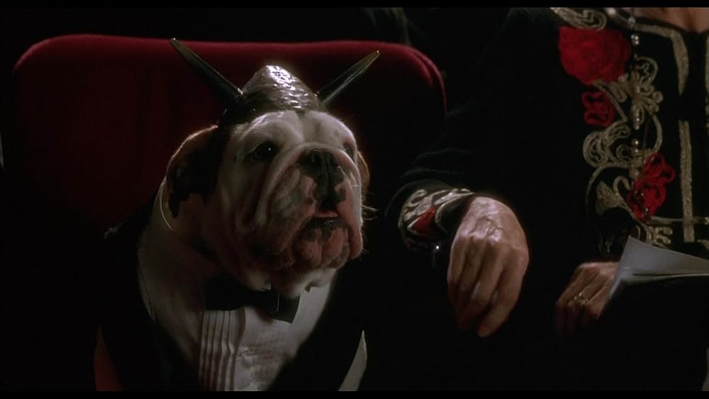 Mr.マグーの画像