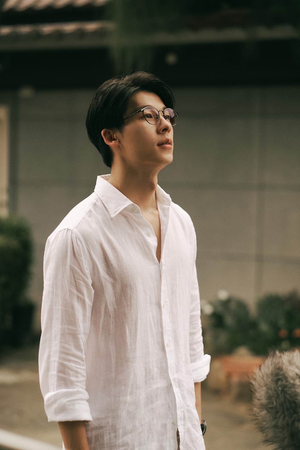 青春18×2 君へと続く道の画像