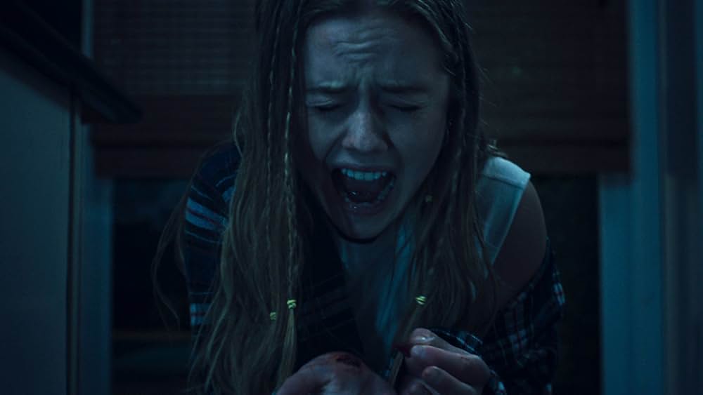 ナイトスイムの画像