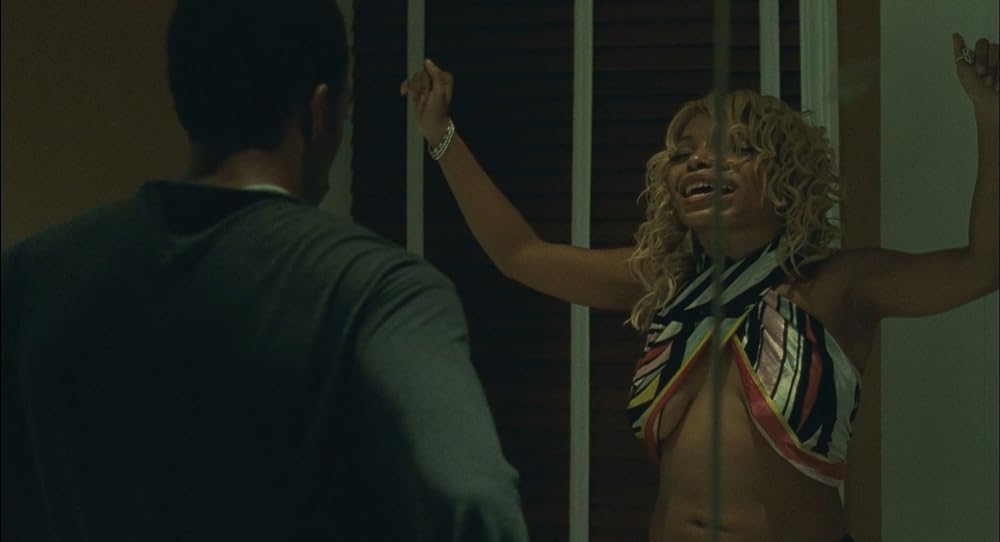 セレブの種の画像