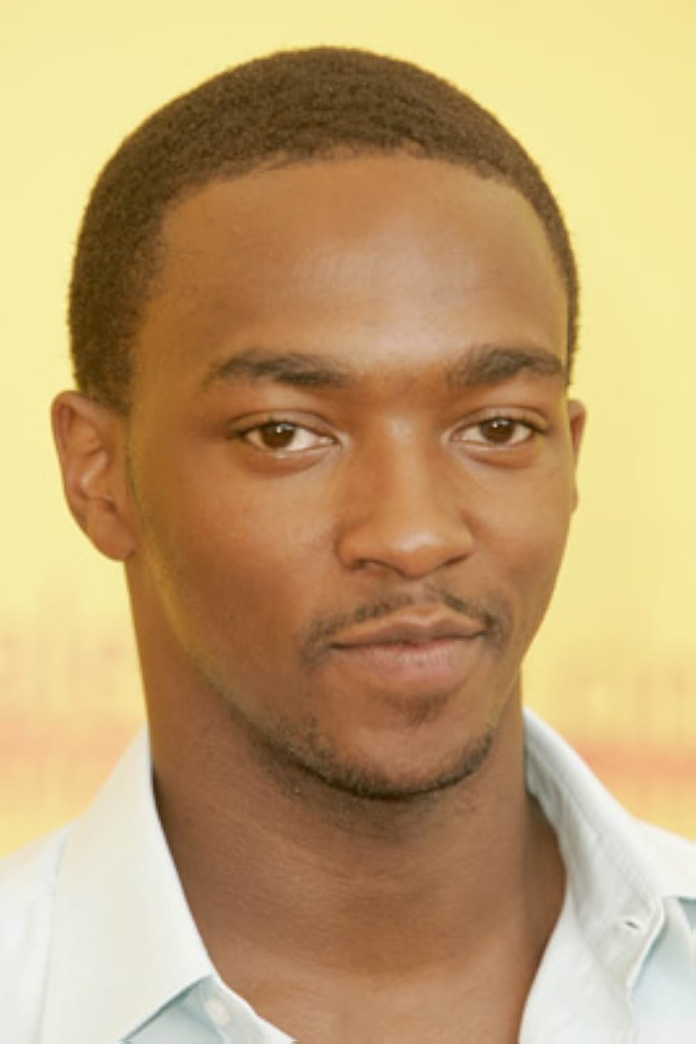 セレブの種の画像