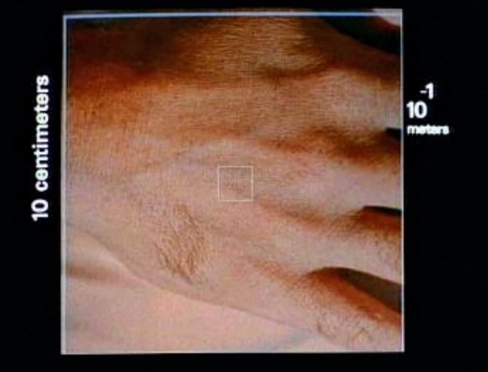 パワーズ・オブ・テンの画像