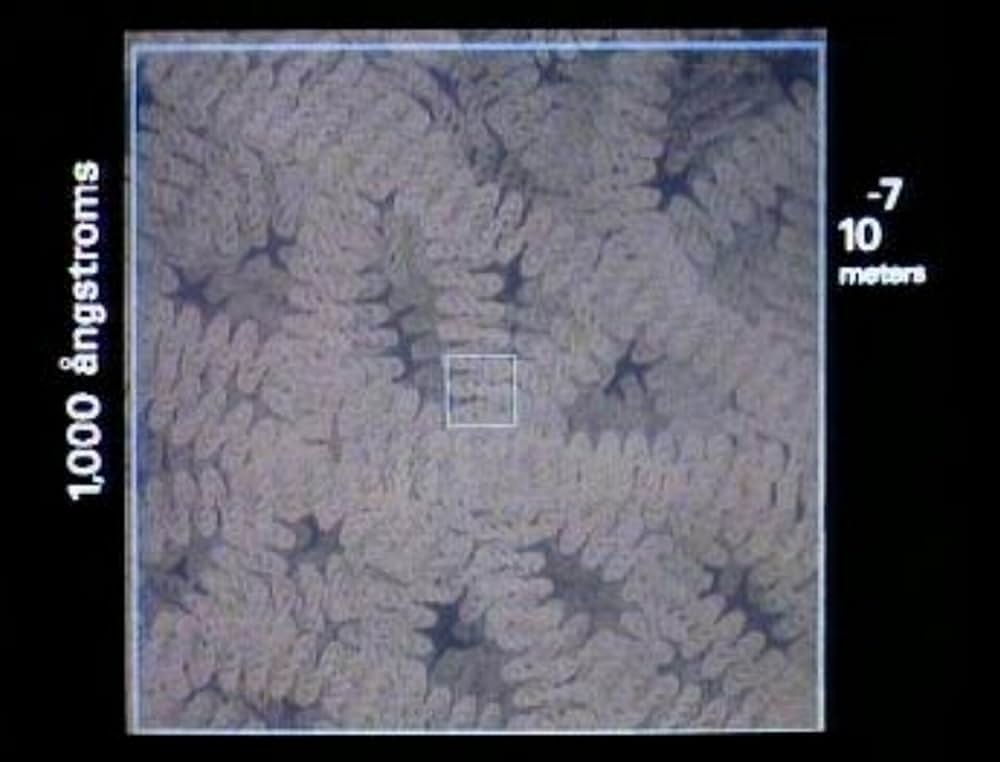 パワーズ・オブ・テンの画像