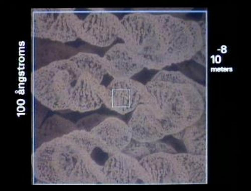 パワーズ・オブ・テンの画像