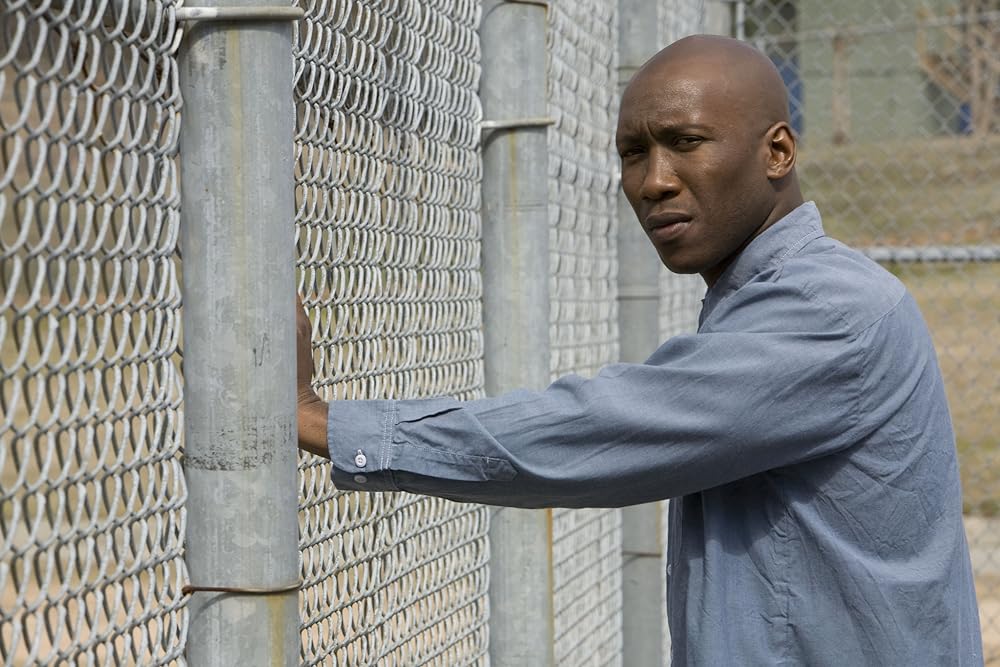 真実への旅路の画像