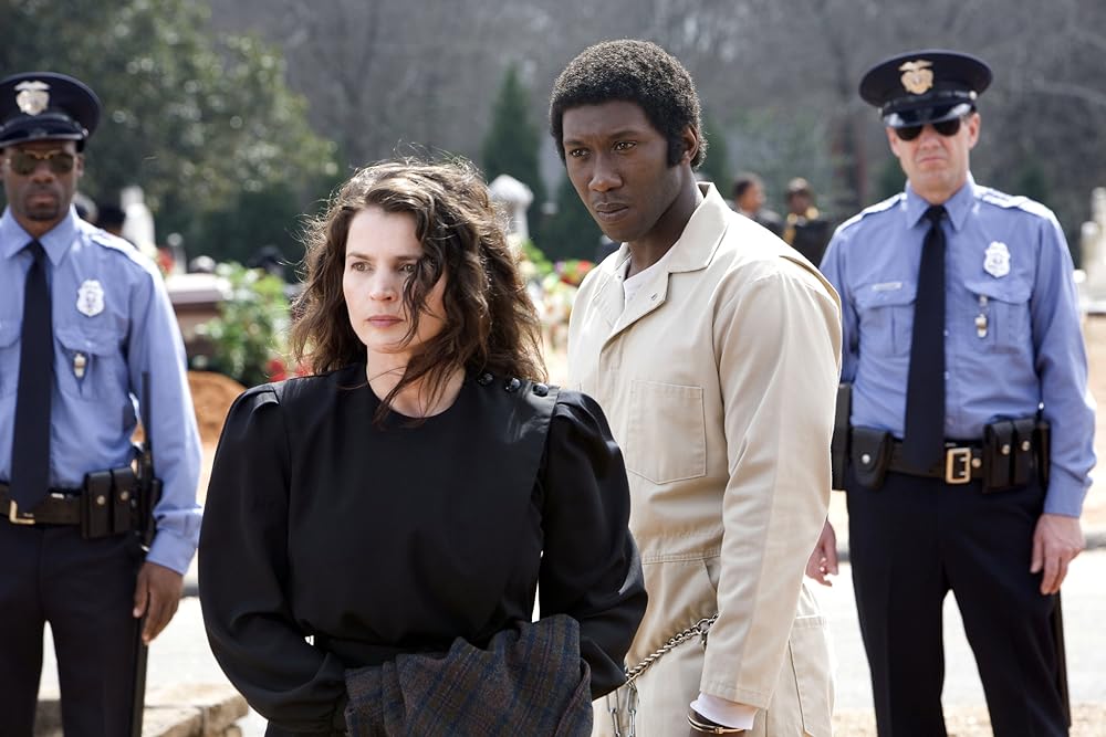 真実への旅路の画像