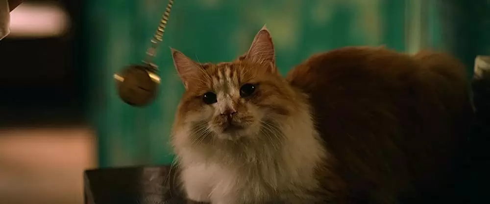 ナミヤ雑貨店の奇蹟－再生－の画像