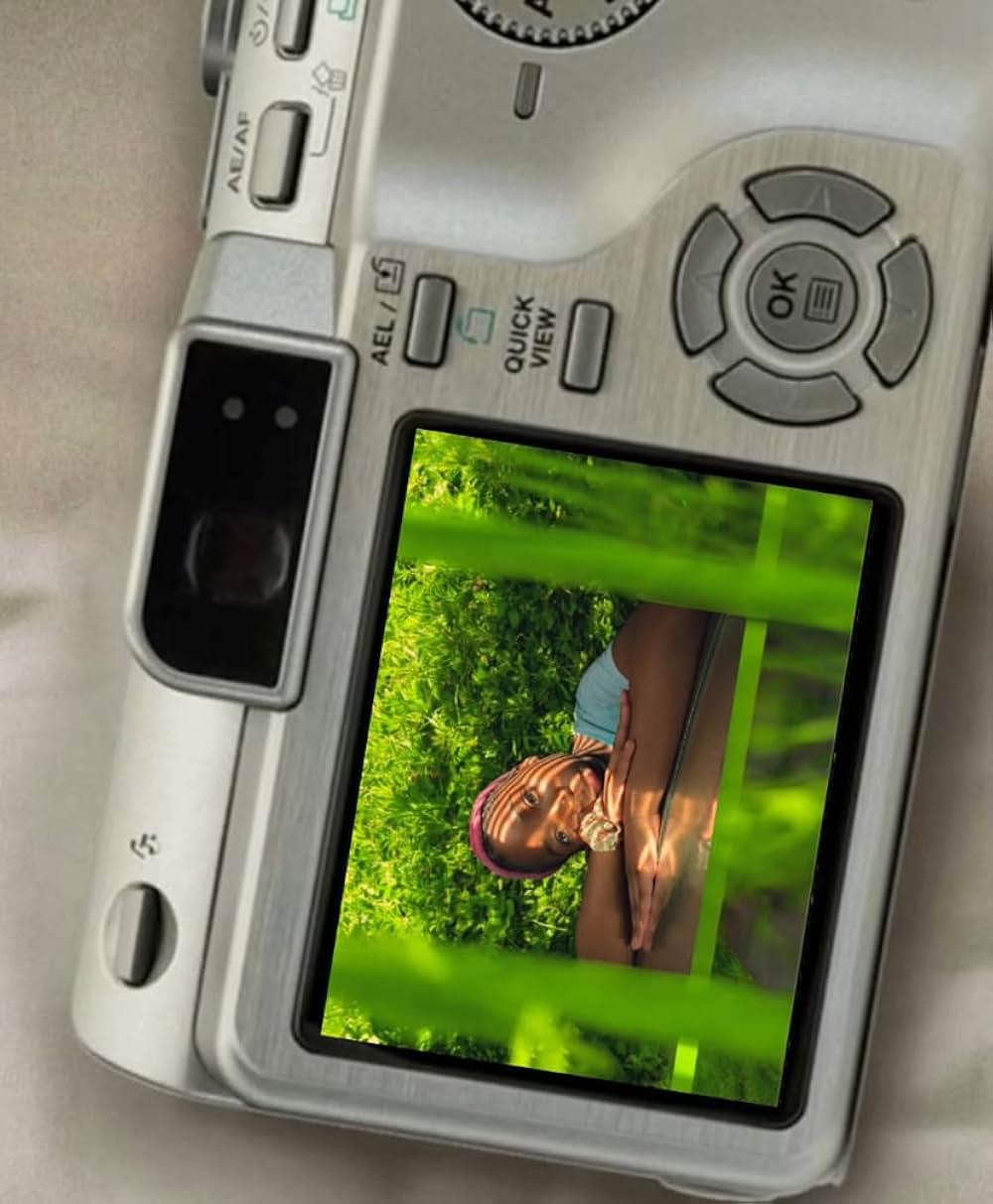 アーチーズの画像