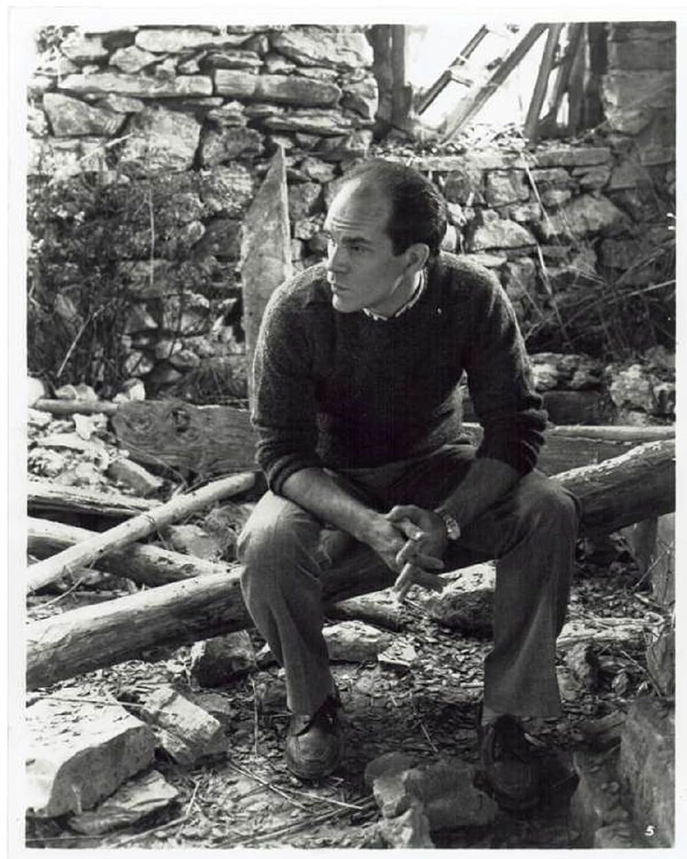 哀愁のエレーニの画像