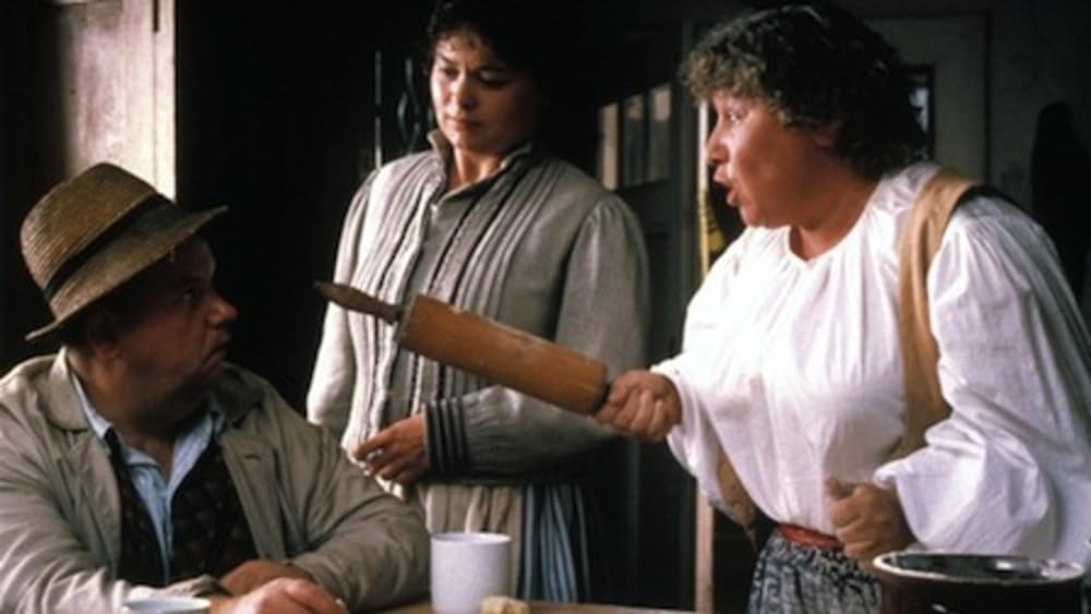 ジプシー 風たちの叫び／私の愛した魔女の画像