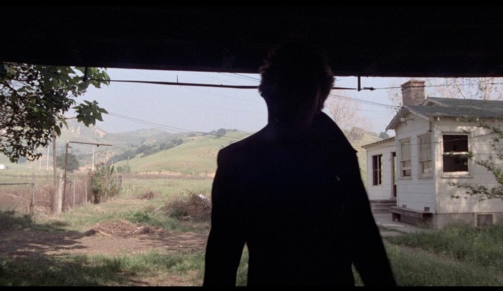 スキゾイドの画像