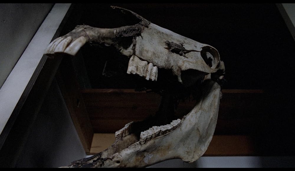 スキゾイドの画像