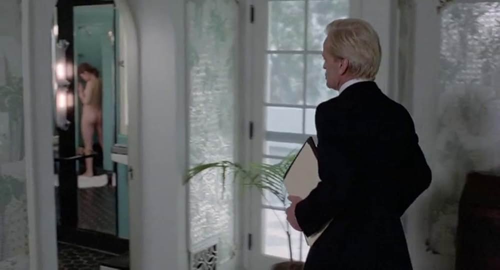 スキゾイドの写真