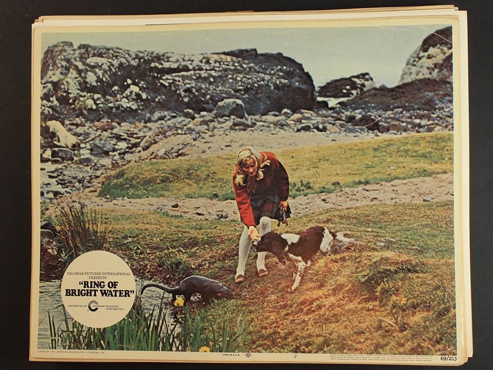 かわうそ物語の画像