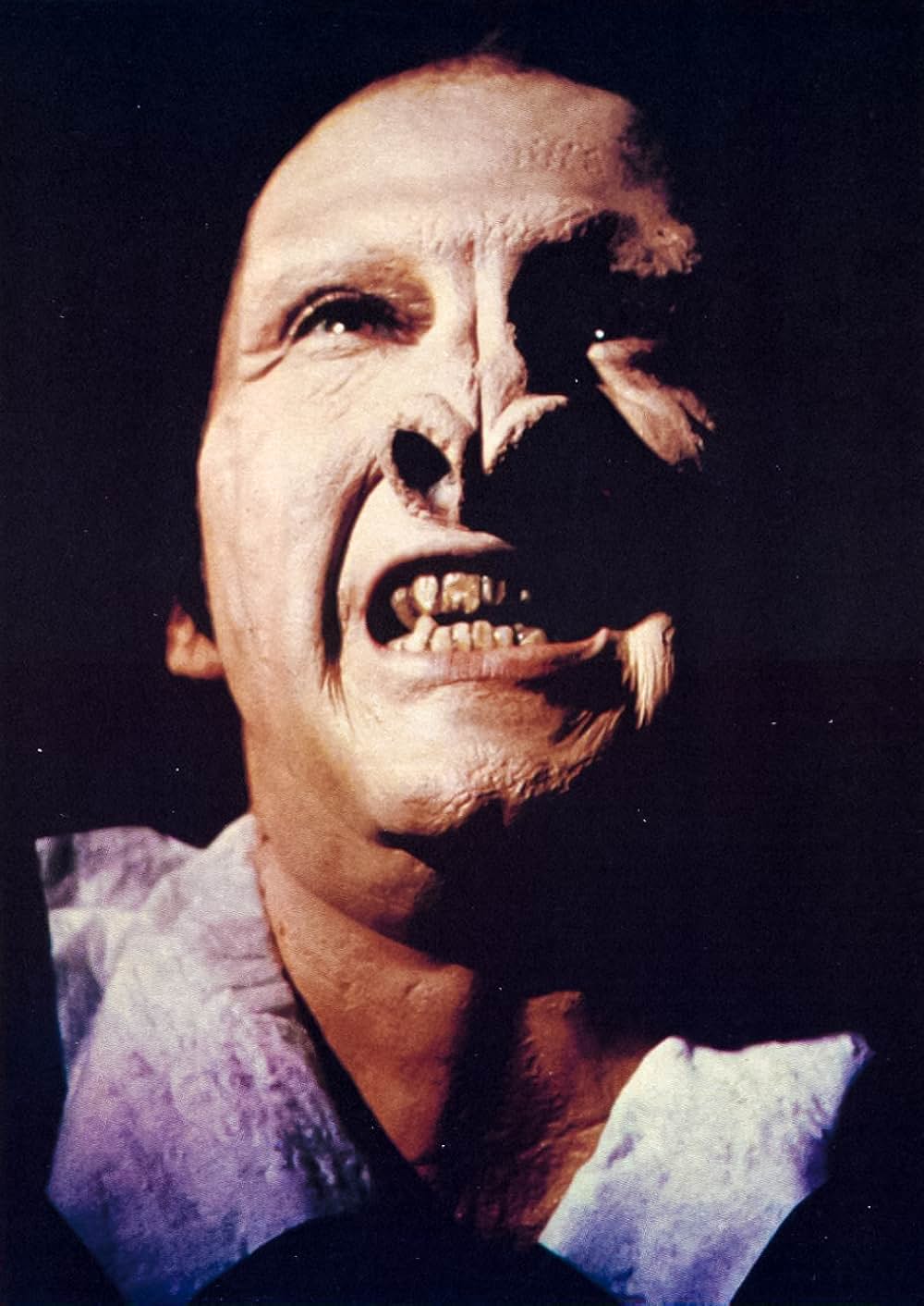 ザ・パワー／肉体を喰いつくす古代の呪いの画像