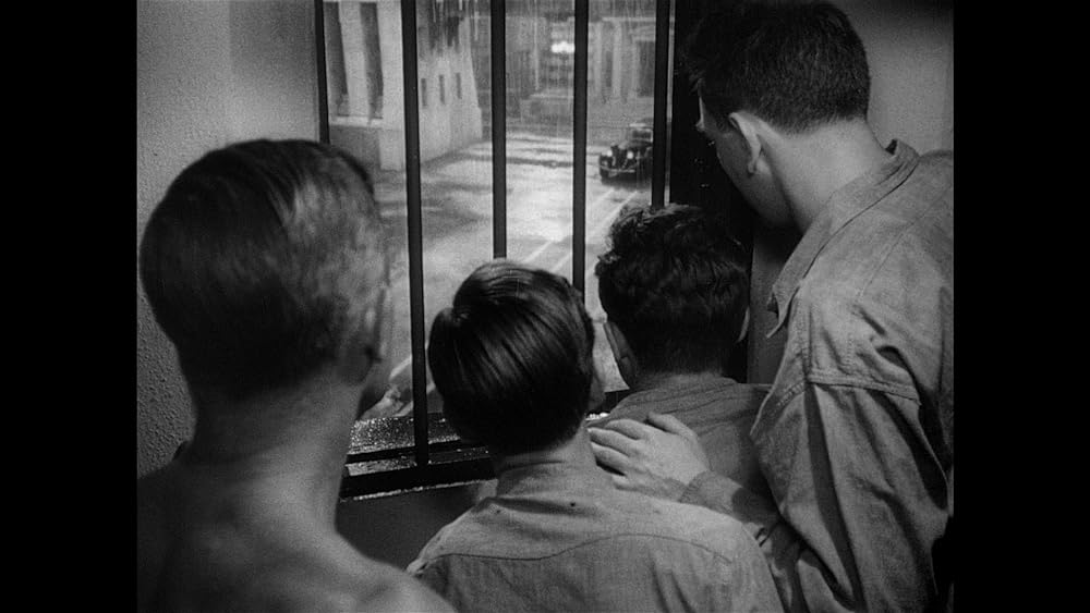 真昼の暴動の画像