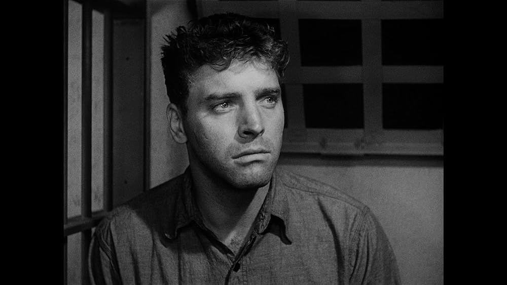 真昼の暴動の画像