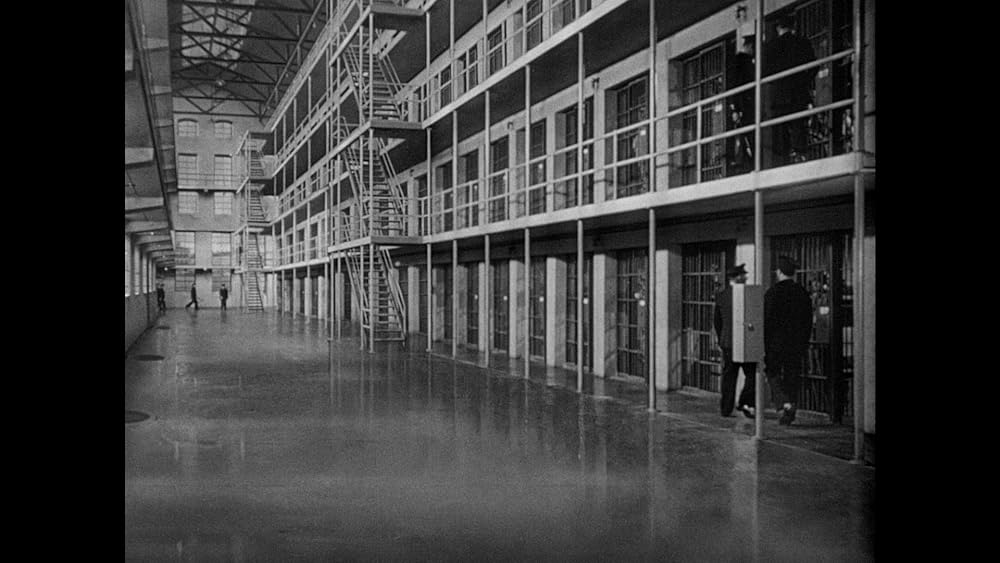 真昼の暴動の画像