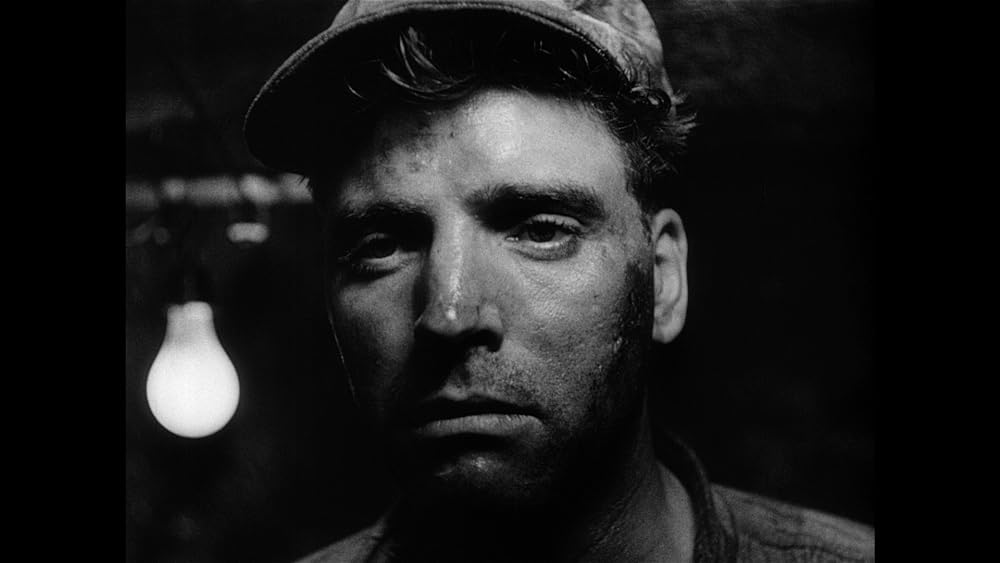 真昼の暴動の画像