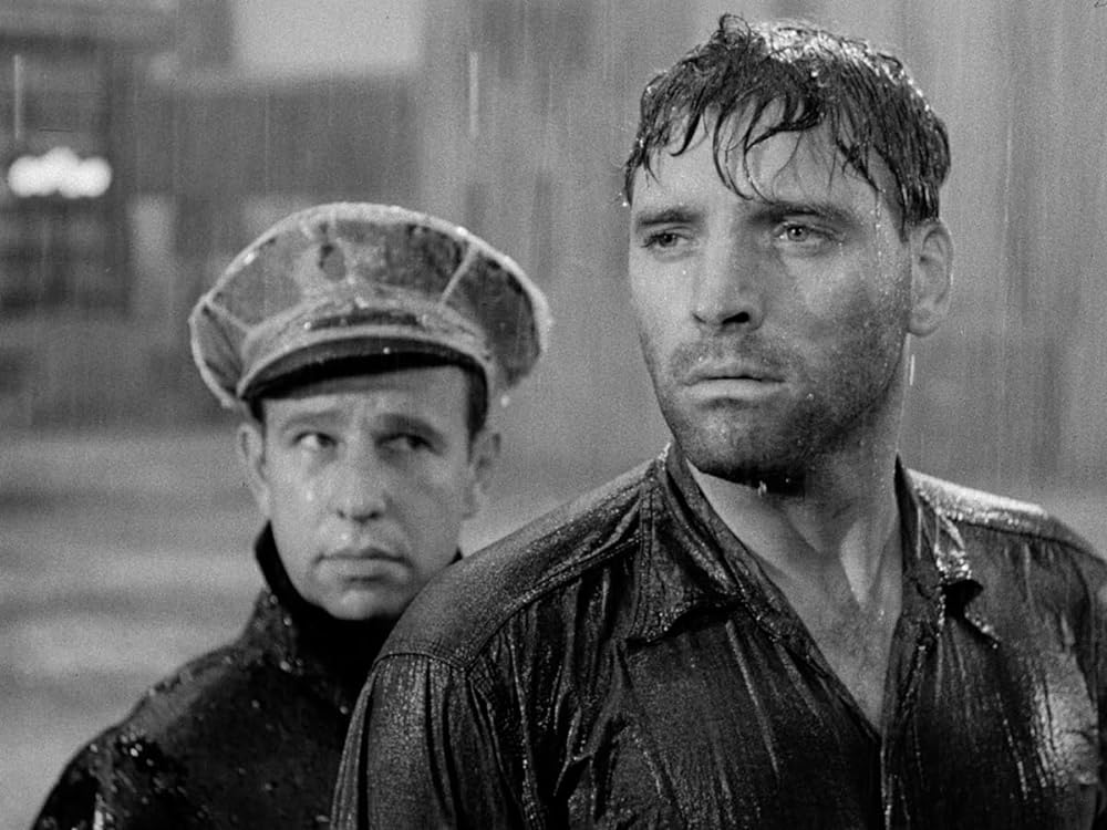 真昼の暴動の画像