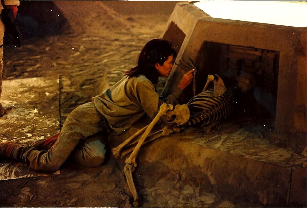 ムーントラップの画像