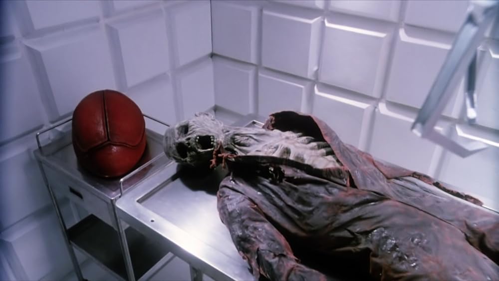 ムーントラップの画像