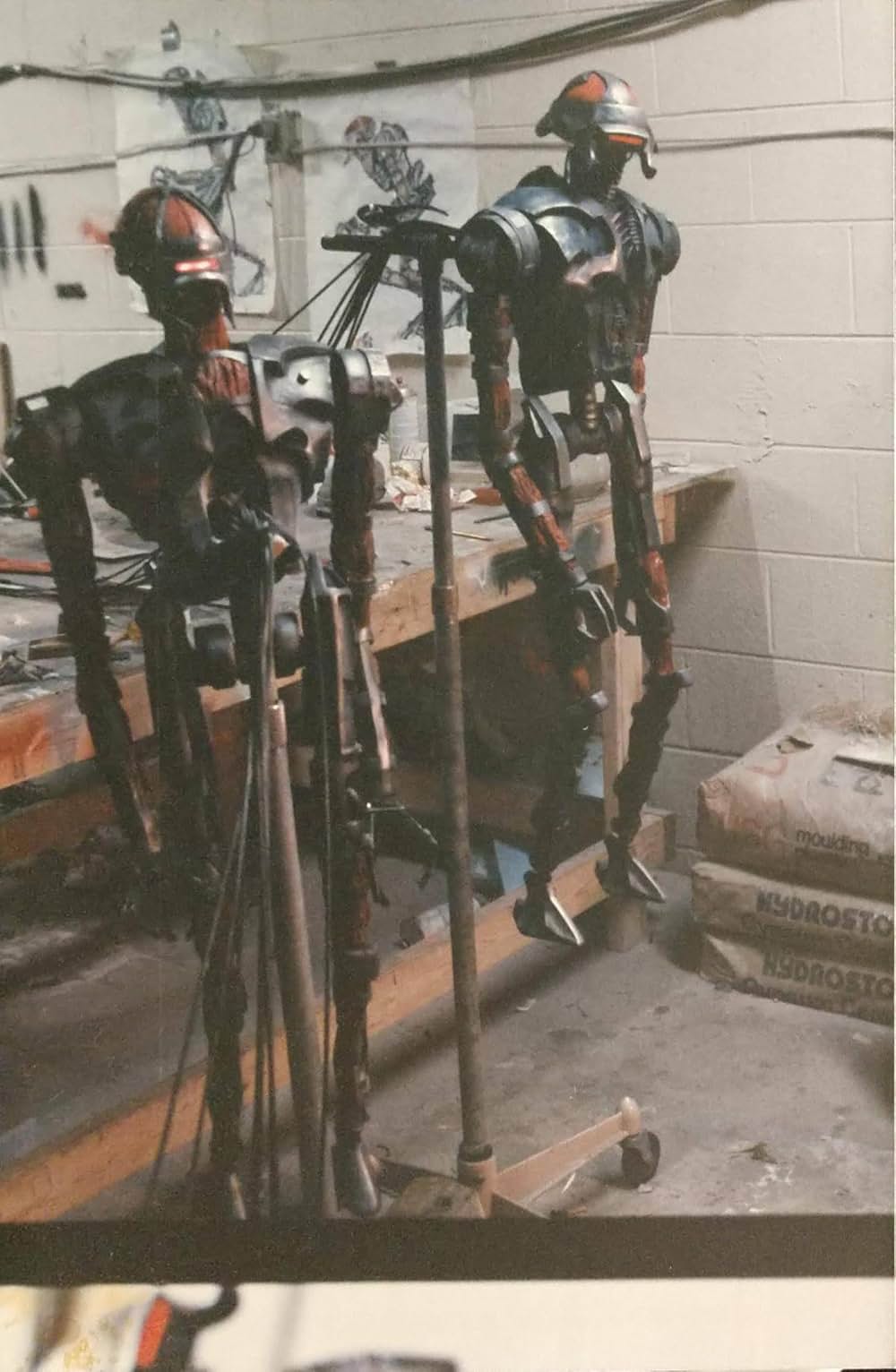 ムーントラップの画像