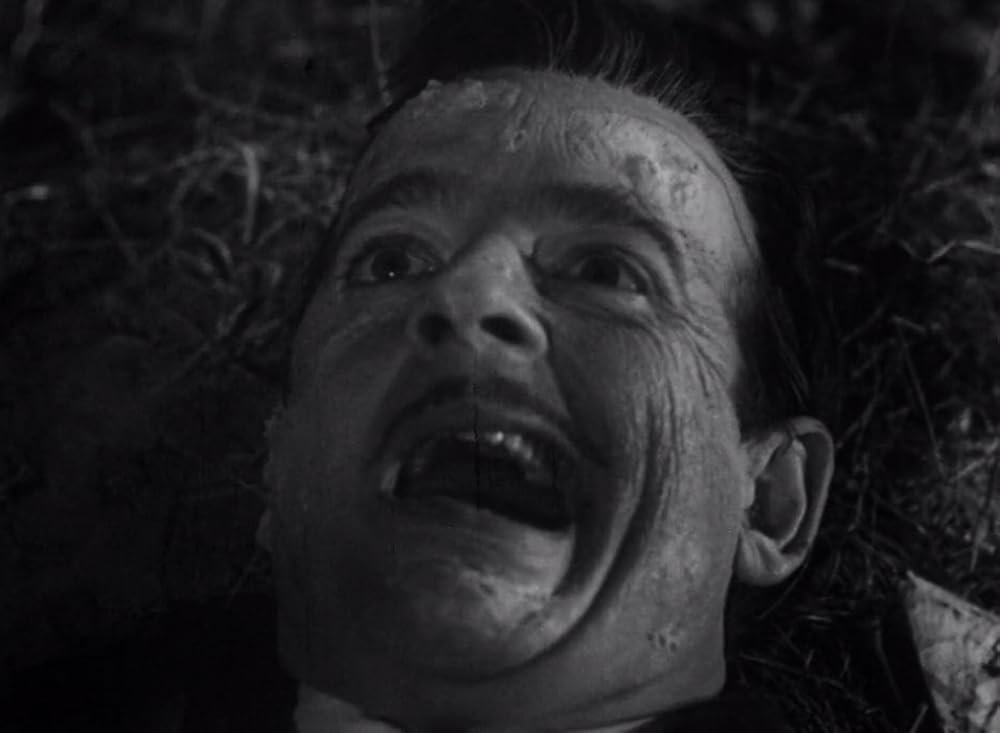 モンスター・ア・ゴー・ゴーの画像