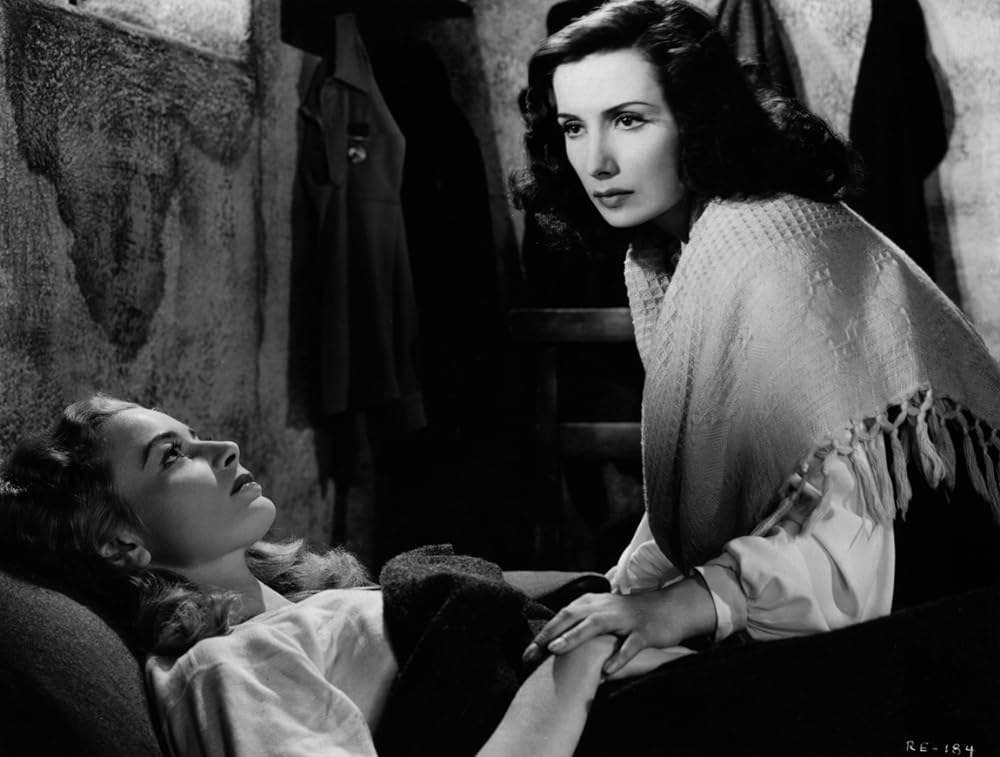 炎のロシア戦線の画像