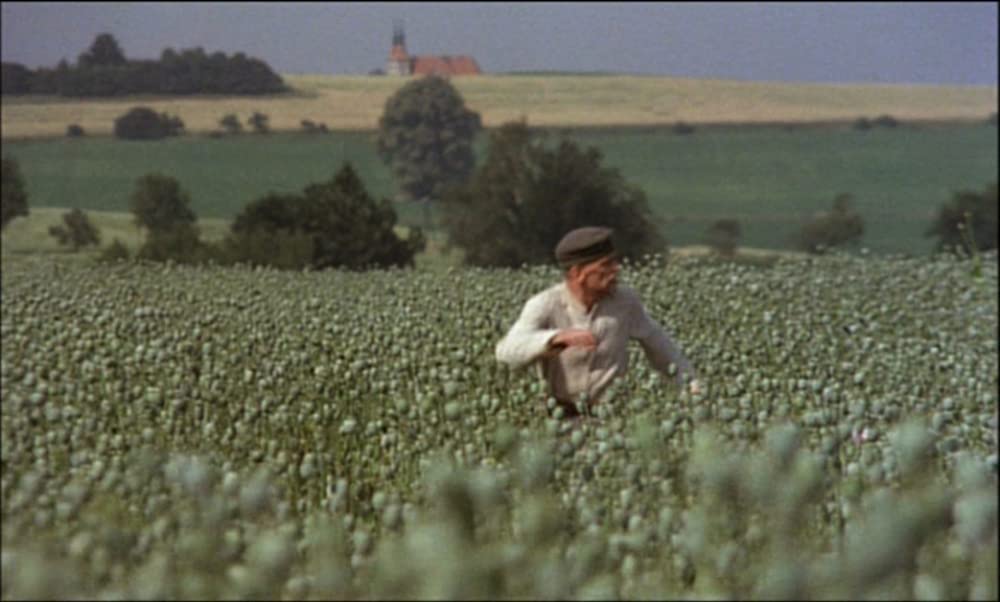 「ヴォイツェック」クラウス・キンスキーの画像