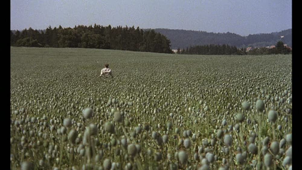 ヴォイツェックの画像