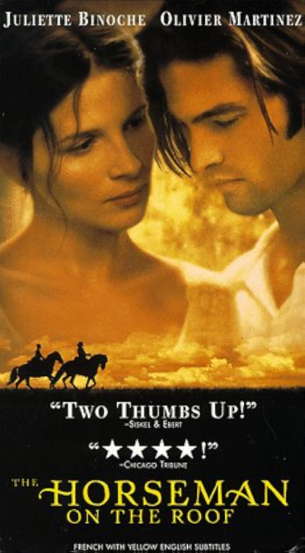 プロヴァンスの恋の画像